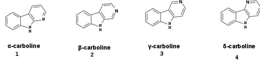 咔啉类生物碱化合物 1-4 的结构式