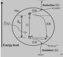 TiO2光催化过程示意图