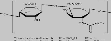 硫酸软骨素结构